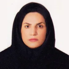 وکیل مهسا کمانرودی