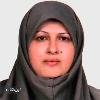 وکیل فاطمه میرحسینی‌