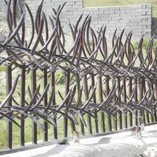 تولیدی حفاظ پایتخت