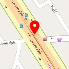 شرکت خدماتی و پرستاری از سالمند نگین