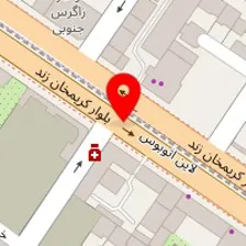 شرکت خدماتی آرامیس