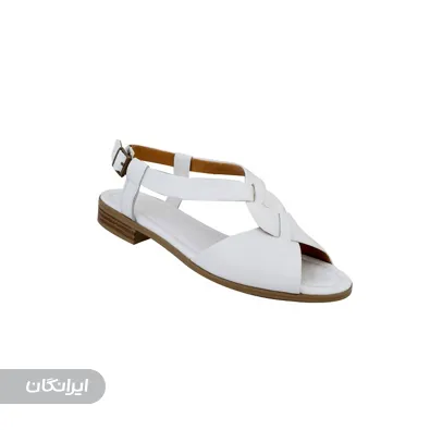 تولیدی کفش شیفر