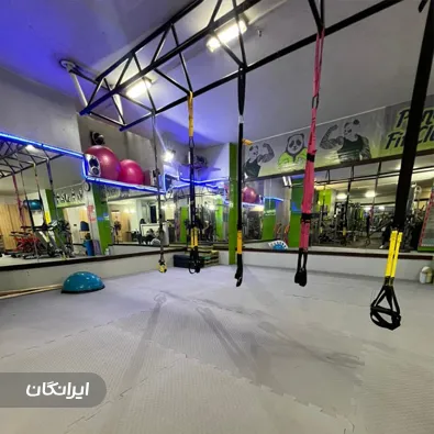 باشگاه بدنسازی بانوان پاندا