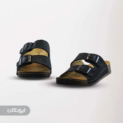 تولیدی کفش آیسانا