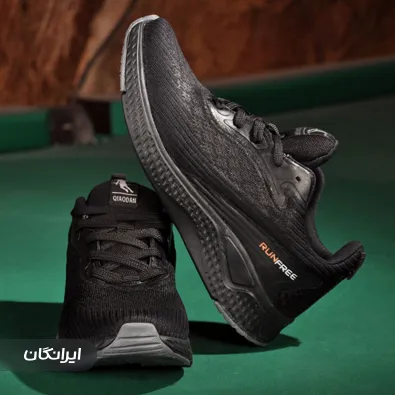 تولیدی کفش پارسیان