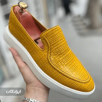 تولیدی کفش می