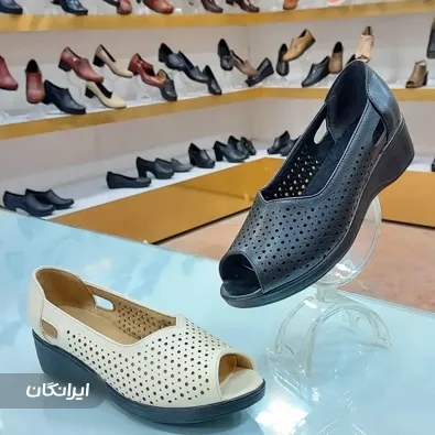 تولیدی کفش پا ایران توس