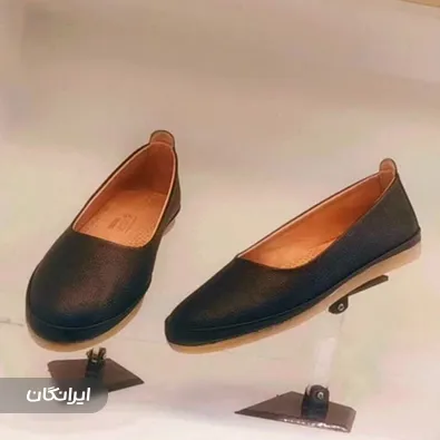 تولیدی کفش دانا