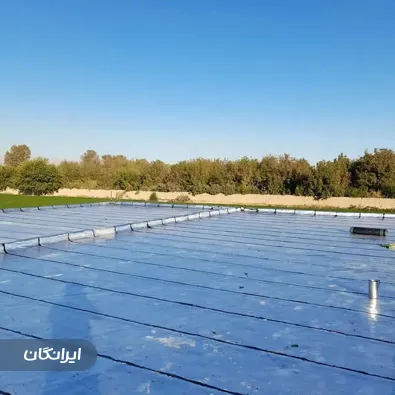 ایزوگام میلاد نظری