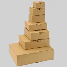 کارتن سازی فضل