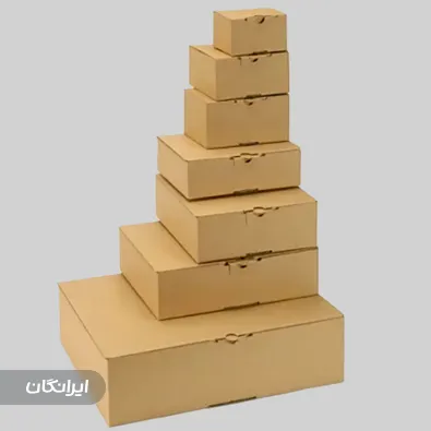 کارتن سازی فضل