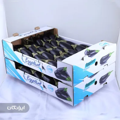 کارتن سازی تکین