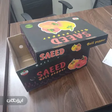 کارتن سازی تکین