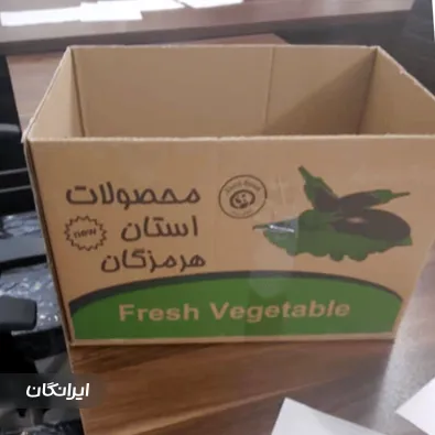 کارتن سازی تکین