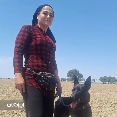 مرکز تربیت سگ k9 