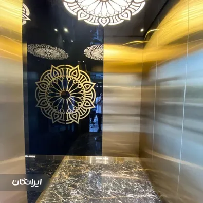 تعمیرات آسانسور دانش