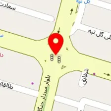 خدمات پت کاور
