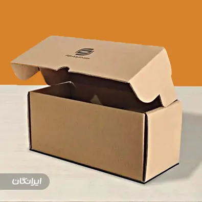 کارتن سازی آوین پک