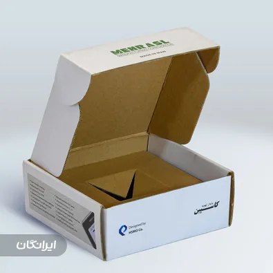 کارتن سازی مسعود