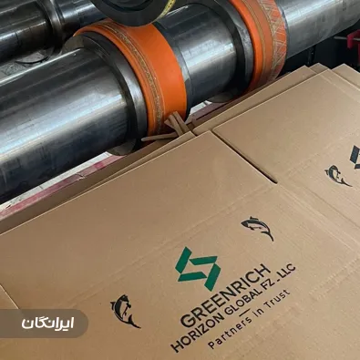 شرکت کارتن سازی ایلیا پک