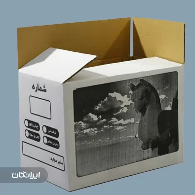 کارتن سازی کارتنچی