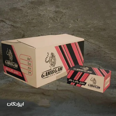 کارتن سازی سهند