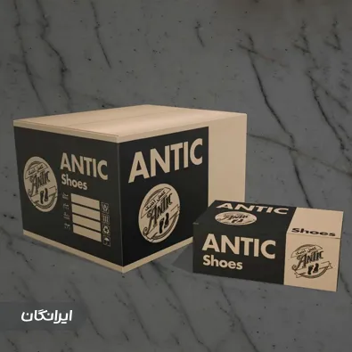 کارتن سازی سهند