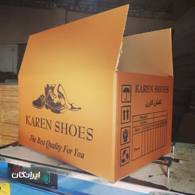 کارتن سازی اسدی