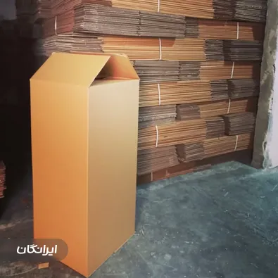 کارتن سازی اسدی