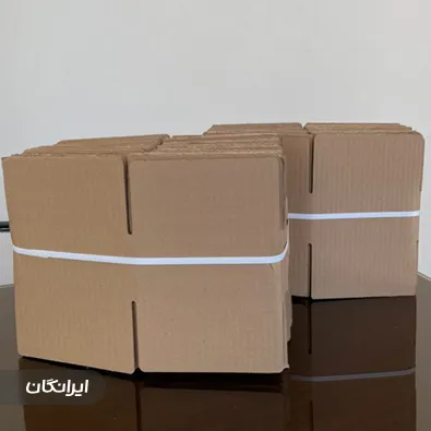 کارتن سازی لاله