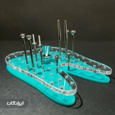 شرکت مروارید سفید ایرانیان