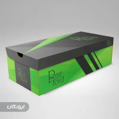 کارتن سازی ستاره نوران