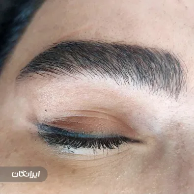 آرایش دائم دیارا میکرو