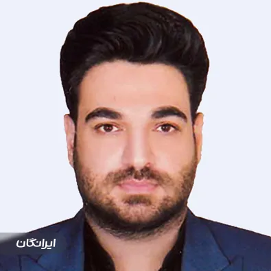 وکیل امیر ابوالفضلی