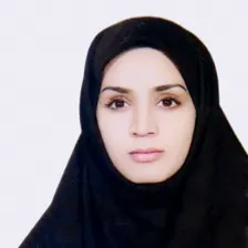 وکیل انیس احمدی نژاد