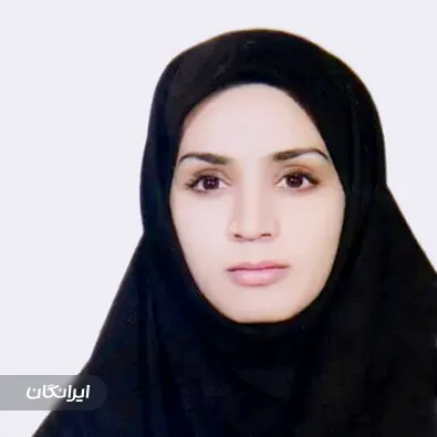 وکیل انیس احمدی نژاد