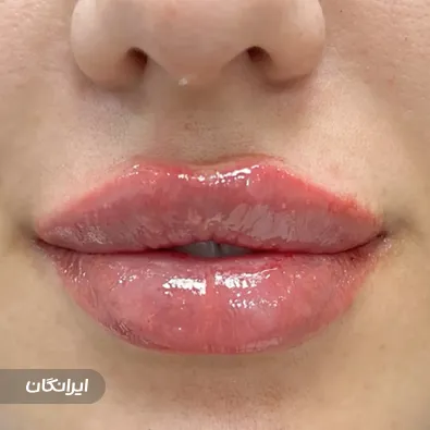 دکتر فریبا محمدی