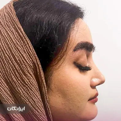 دکتر پریا حامدی