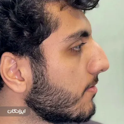 دکتر سعید فرهی