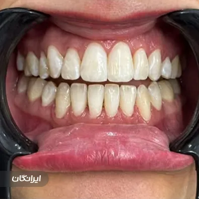 دکتر الهه حاجی پور