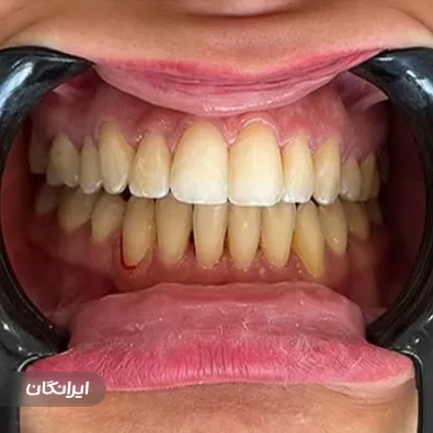 دکتر الهه حاجی پور