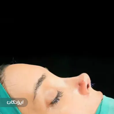 دکتر ناصر صادق زاده