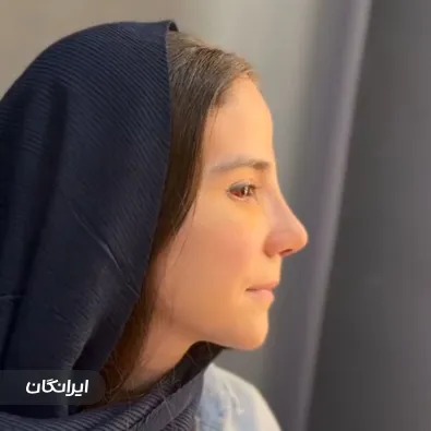 دکتر ناصر صادق زاده