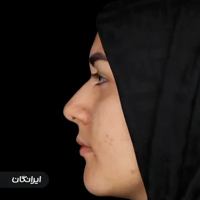 دکتر شهاب الدین عزیزی