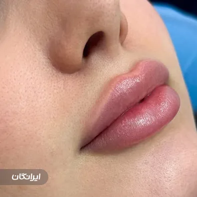 دکتر حسام شبیری