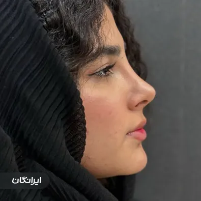 دکتر حسام شبیری