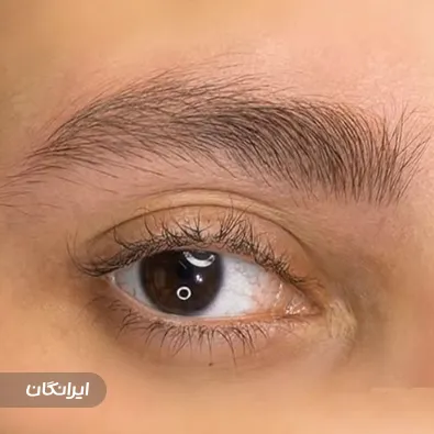 سالن آرایش دائم سارا فندی