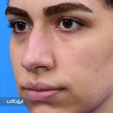 دکتر محمداسماعیل هادی زاده