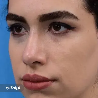 دکتر محمداسماعیل هادی زاده