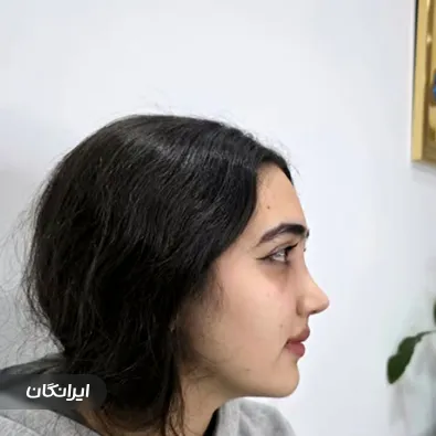 دکتر سعید نجفی ثانی